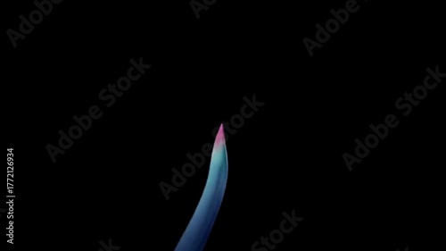 Close-up of a blue and pink flame against a black background.