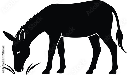 Mule eat grass silhouette, Mule eat grass line art silhouette vector illustration on white background