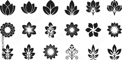 Collection of decorative floral and leaf motifs in black silhouette isolated on transparent background