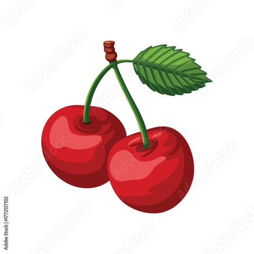 Cherry digital illustration design vector