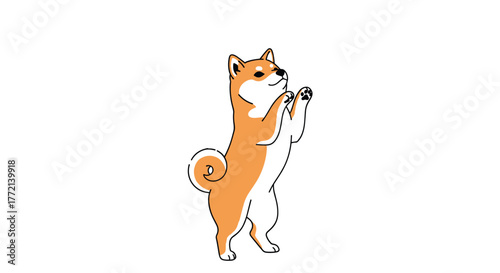 A cute cartoon Shiba Inu dog standing on its hind legs with its front paws raised, looking up expectantly on a white background.