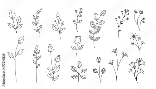 Hand drawn botanical doodle collection with various leaves, flowers, and branches in minimal black line art, suitable for nature or eco themes