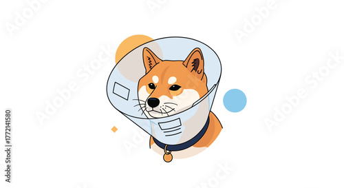 A sad-looking Shiba Inu dog wearing a clear plastic Elizabethan collar, often called a cone of shame, against a simple white background with abstract shapes.