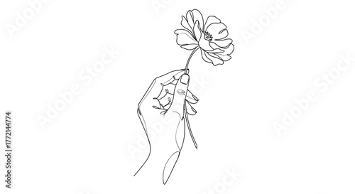 Hand holding a flower illustration, giving a gift