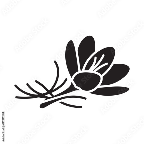 Stylized black and white illustration of a blooming flower with stems