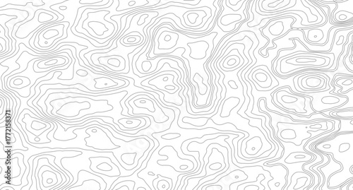 abstract topographic contours map background. Topographic map Patterns, Topographic map and place for texture. 