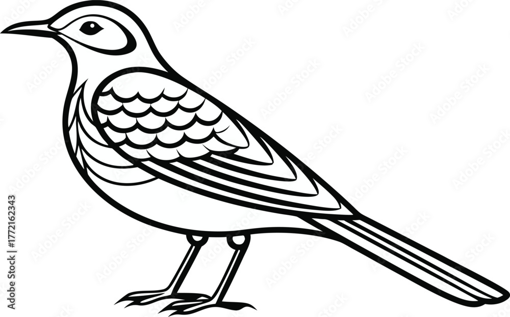 Obraz premium Wagtail Bird Illustration. Small Songbird Design. Elegant Wagtail Bird Artwork. Wild Wagtail Bird Outline. Flying Wagtail Bird Drawing. Beautiful Wagtail Bird Silhouette