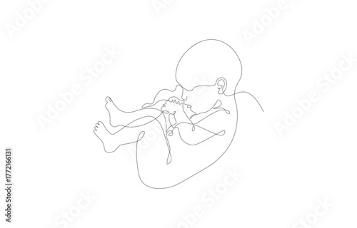 Newborn Baby Continuous Line Drawing – Minimalist Sleeping Infant Line Art Vector Illustration