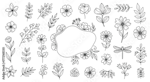 Hand-drawn botanical collection with delicate floral elements, leaves, and a decorative frame, suitable for vintage-themed designs and nature-inspired projects.