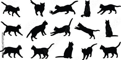 Collection of black cat silhouettes in various poses and actions animal