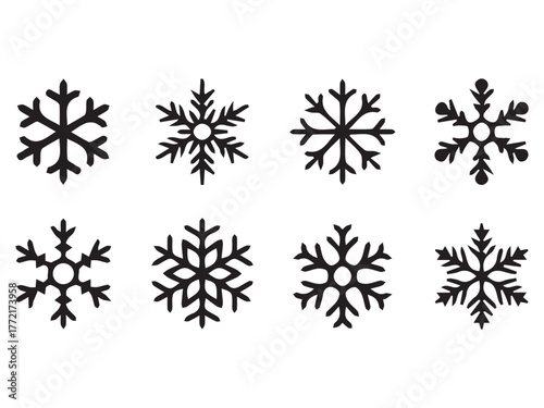 Beautiful Winter Vector Collection