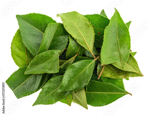 Dried Curry Leaves Isolated on White Background