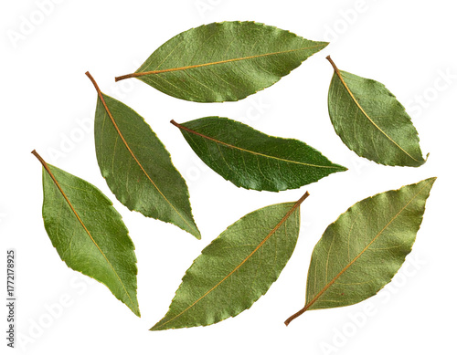 Dried Curry Leaves Isolated on White Background