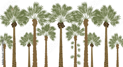 Stylized border illustration featuring a seamless pattern of tropical date palm trees with ripe fruit against a clean white background.