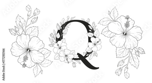 Elegant black and white line art illustration showcasing a decorative uppercase Q adorned with hibiscus flowers and foliage, flanked by two floral elements.