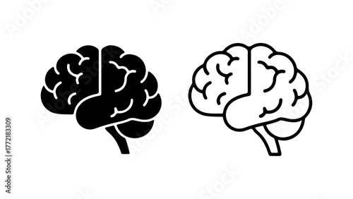 Brain anatomy outline with transparent background