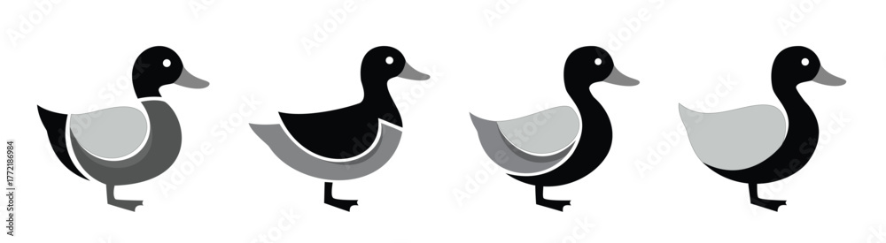 Obraz premium Mallard duck or waterfowl bird icons set for nature, wildlife, or fishing logo design