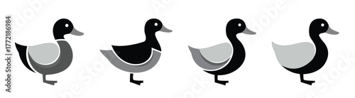 Mallard duck or waterfowl bird icons set for nature, wildlife, or fishing logo design