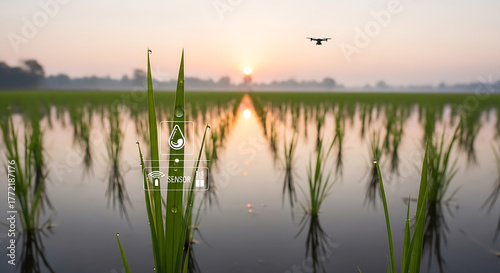Wallpaper Mural Agricultural drone surveys a verdant rice paddy at sunrise, with smart farming icons illustrating modern agritech concepts Torontodigital.ca