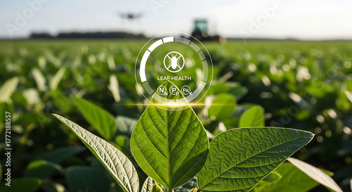 Green soybean leaf with leaf health indicator against a field and tractor background