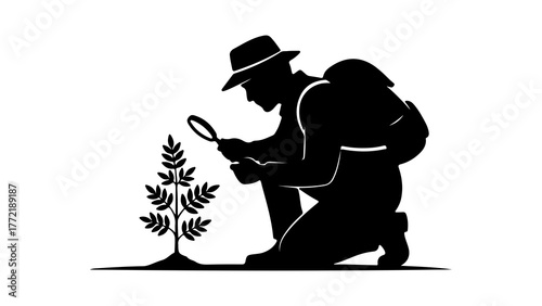 Botanist examining plant with magnifying glass with transparent background