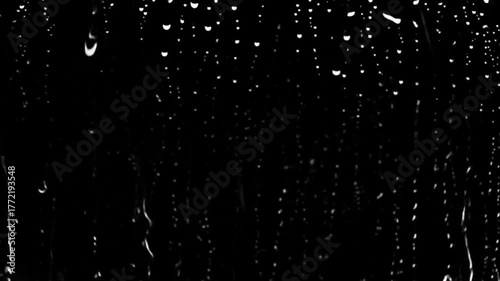 water drops on black