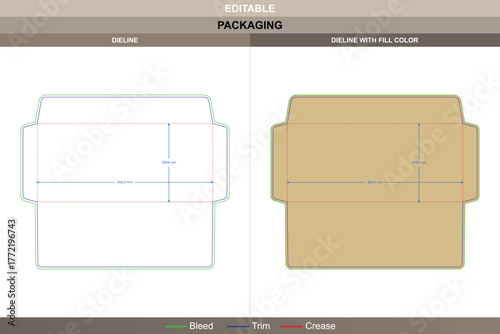 Letter envelope dieline presented through vector setup enhancing printing results and packaging precision defined die line folds maintain a professional and clean envelope shape