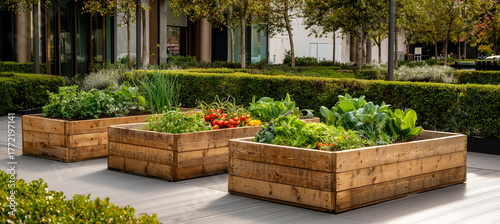 Urban gardening area with raised beds full of vibrant vegetables and herbs