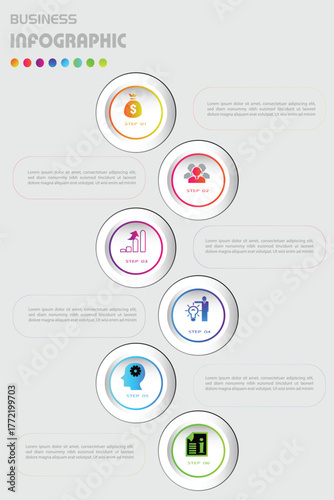 Clean vertical business infographic with colorful circular icons and step-by-step layout, ideal for data visualization, marketing strategy, and corporate presentations.