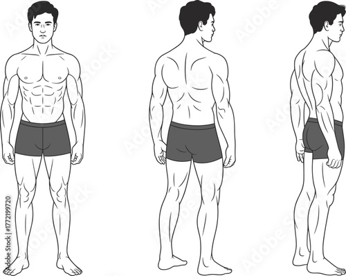 Cad drawing flat vector, male anatomy figure, muscular body outline, fitness model sketch, anatomy reference, bodybuilding illustration, character design template, posture study