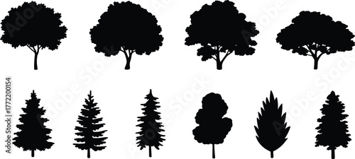 Flat vector tree silhouettes, isolated forest icons, nature design elements, conifer and broadleaf shapes, landscape illustration, botanical outline, eco graphic