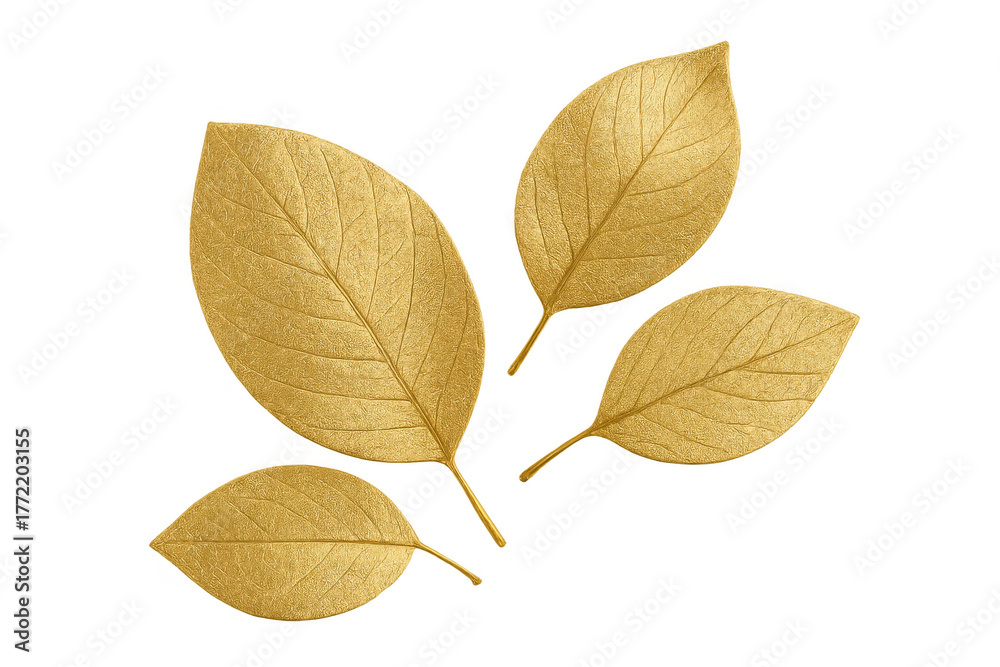 Obraz premium Golden leaves background element, rich autumn nature decor, luxury texture, transparent background