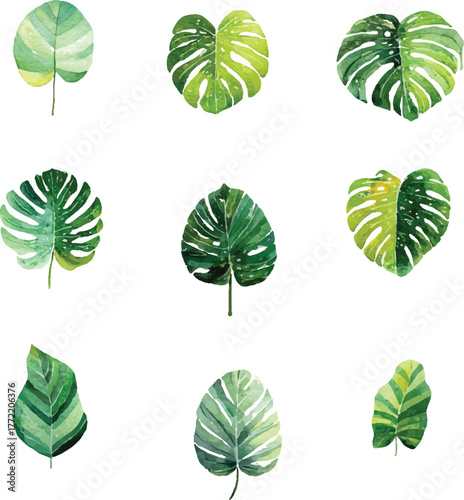 green leaves collection