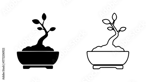 Bonsai tree in pot with transparent background