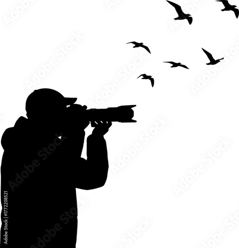 observers gaze locks on soaring birds, eternalizing natures flight