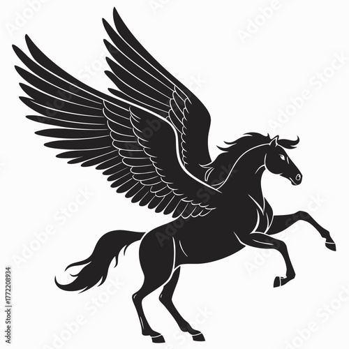 black horse vector illustration