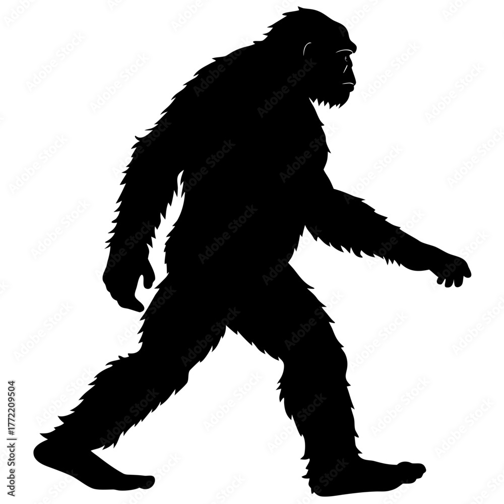 Fototapeta premium silhouette of a man