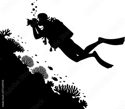 silent observer captures elusive underwater worlds, documenting natures hidden beauty