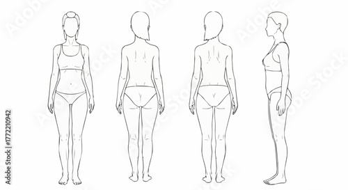 Female Body Outline Drawing for Fashion Design and Anatomy Study.