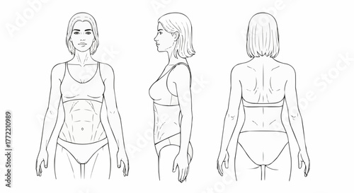 Female anatomy study front side and back views line drawing.