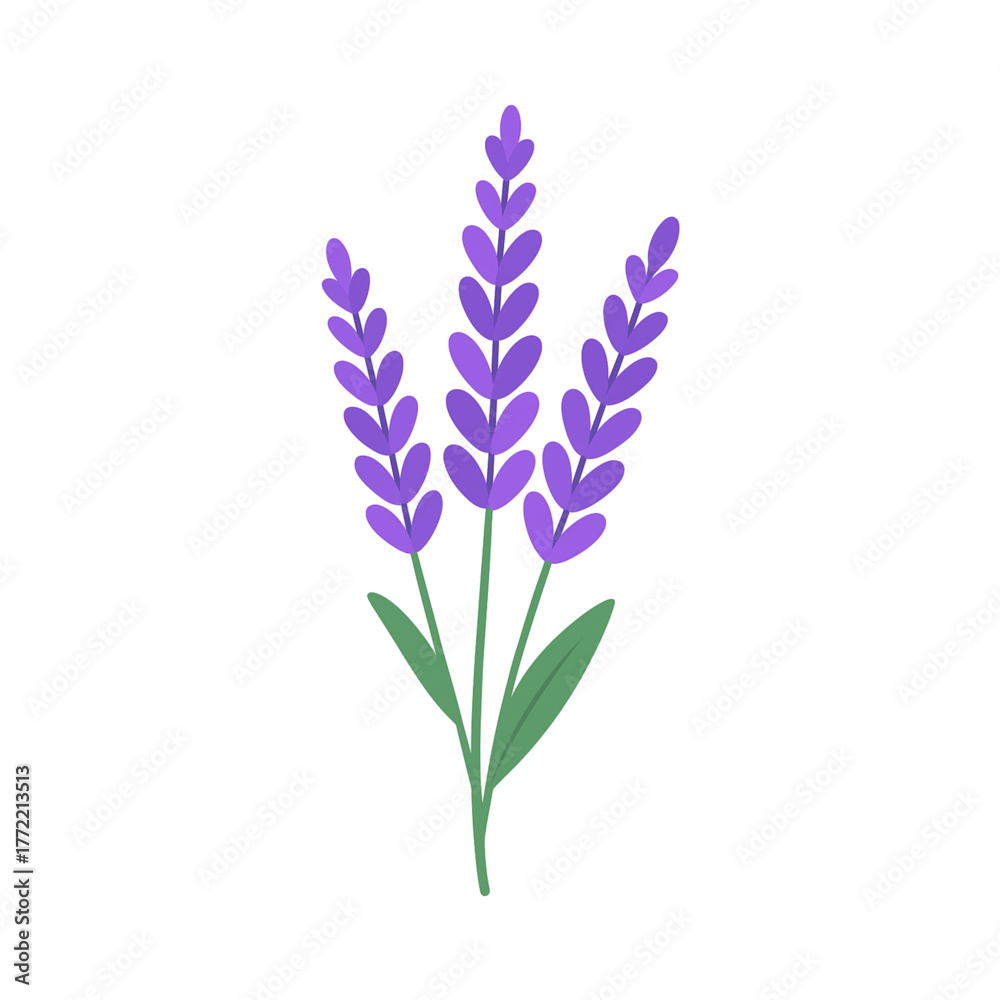 Obraz premium Flat Vector Lavender Flower Illustration