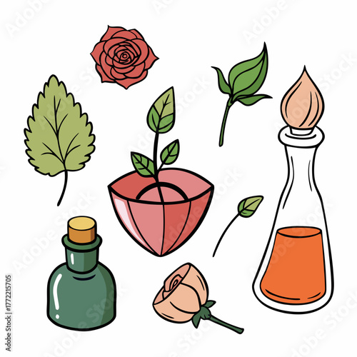 Colorful botanical elements with bottles and rose illustrations  
