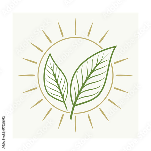 Two green leaves inside a sun outline on a cream background Keywords: leaves, green, sun, outline, nature, ecology, organic, growth, energy