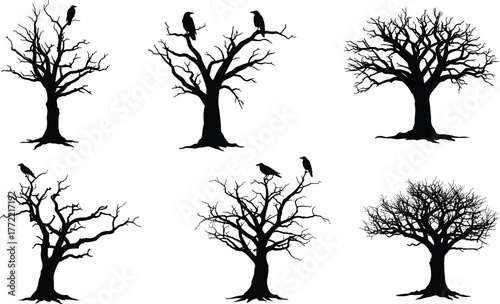 Dead tree silhouette, crow on branches, spooky forest design, Halloween tree vector, dark nature art, barren tree illustration, gothic atmosphere