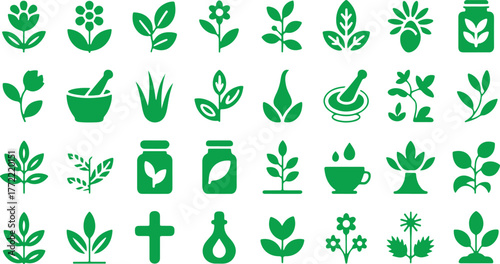Medicinal Herbs Silhouette Icon Set – Echinacea, Ginger, Turmeric, Lavender, Rosemary, Calendula, Lemon Balm, Dandelion, St Johns Wort, Vector Illustration