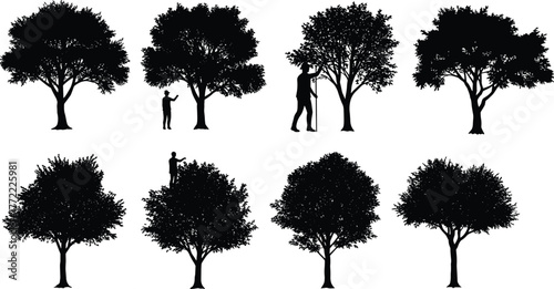 Tree silhouettes with people, outdoor lifestyle illustration, eco design, nature background, rural activity, family under tree, seasonal landscape, countryside art