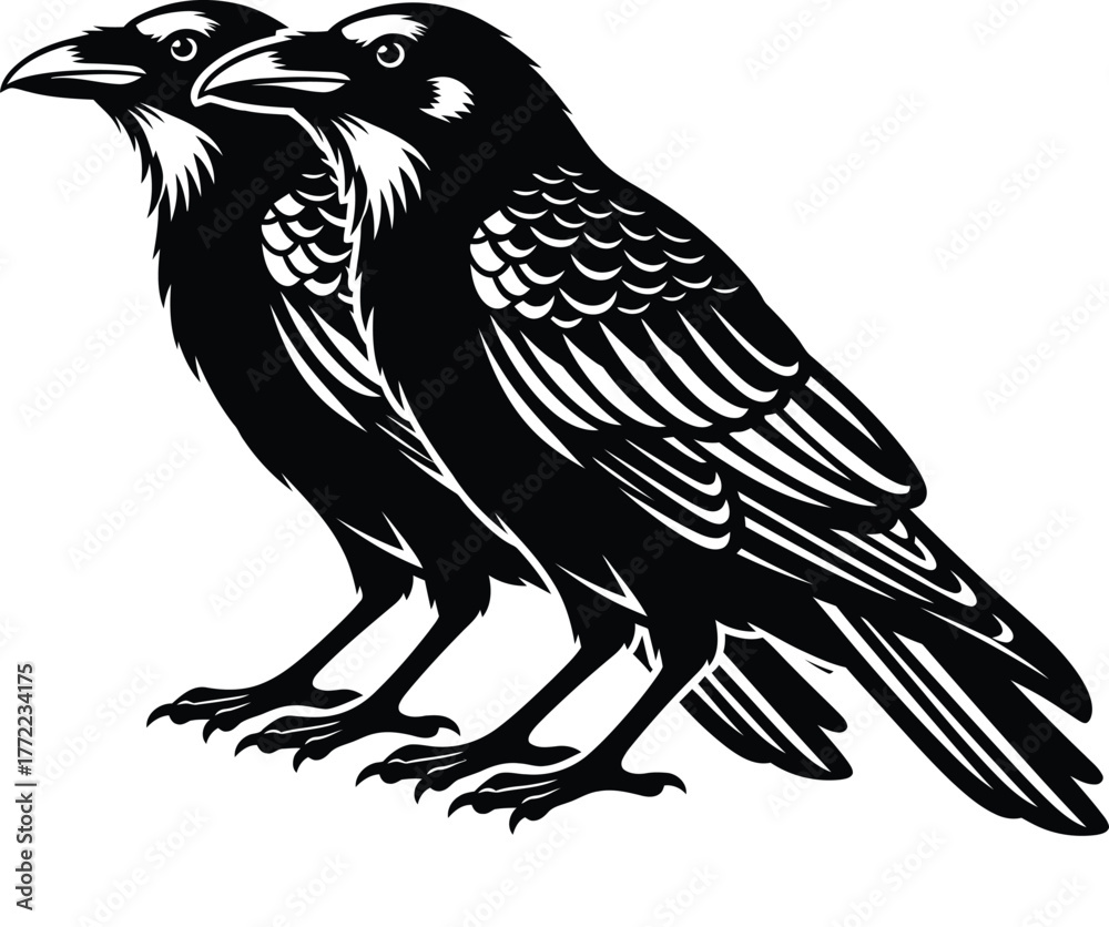 Obraz premium eagle on a white background