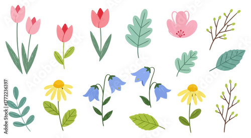 Stylized Flower and Leaf Set