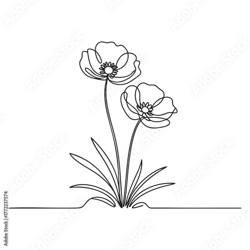 Two delicate poppy flowers with leaves drawn in continuous black line art floral nature