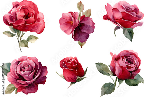 watercolor red pink rose flower clipart